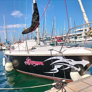 https://canarian-pirat.puertodelcarmen-hotels.org